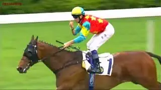 2011 The National Day Cup (Handicap) - Ambitious Dragon (雄心威龍) - 韋達