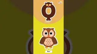 O for Owl🦉| ABC of Animals Learn the Alphabet with Animal Facts!🦉