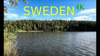5-Minute Serene Walk Around a Swedish Lake: Immersive Nature Experience