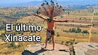 Xinacate en el Cerro del Teotón 