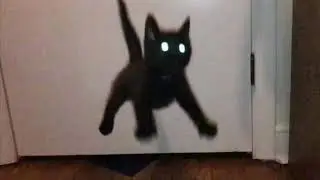 WROW!
