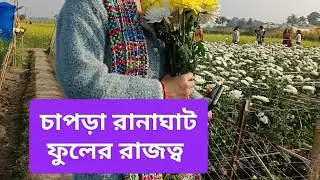Chapra l Ranaghat l Flower l Flowers l video virals l tour l day outing l youtube l   @bong09chan