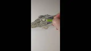 Watch this crocodile come alive!