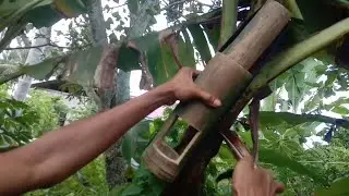 Membuat Perangkap Tupai & Tikus Dari Bambu || Mudah & Simpel