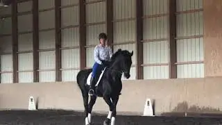 Sonntag with Betsy Steiner Clinic Canter Halfpass.
