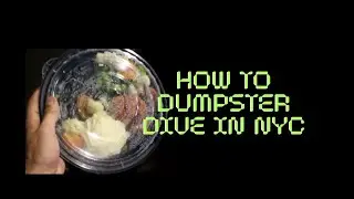 Dumpster Diving Tutorial NYC