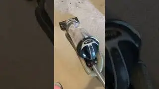 Shark Chronicles: Natural Dirt and Hidden Crunch w/ Bin Dump
