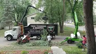 Minnesota Tree Experts big job in Fridley, 2 August 2021.