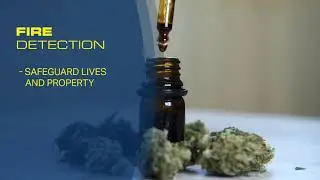 Custom Security for CBD and Cannabis Dispensaries