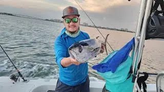Hmong Saltwater Fishing - ARS adventures in the Gulf | Tampa offshore fishing