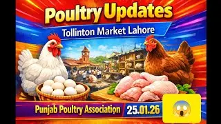 Punjab Poultry Association Punjab is live!