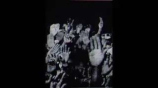 Luh Mir - Forever Sane (Official Audio)