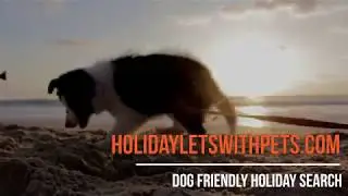 Dog Friendly Holidays in the UK