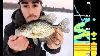 Basin Crappie Strategies & Locations