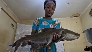 Cooking a delicious cat fish for supper 