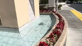 Saddleback Memorial Hospital in Southern California