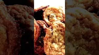 graham cracker chocolate chip cookies