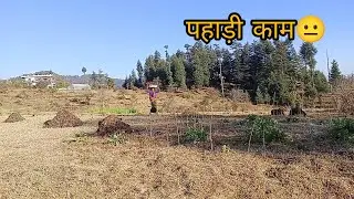पहाड़ों में महिलाओं का काम 🥺😐