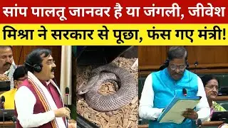 सांप पालतू जानवर है या जंगली, जीवेश मिश्रा ने सरकार से पूछा, फंस गए मंत्री! Snake Is pet or wild