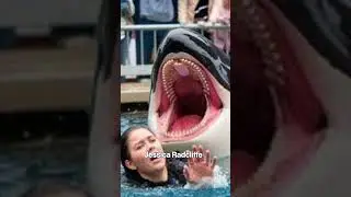Was Orca trainer Jessica Radcliffe really killed by a killer whale? The truth about the viral story
