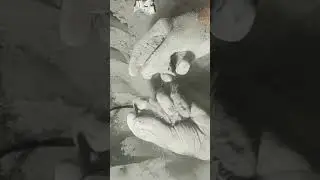 Full satisfying/gymchalk reform crush/ASMR bliss/oddly satisfying/sleep aids/trending/relax