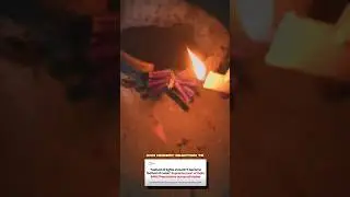 SC Bans Firecrackers across all States : Our Honest Reaction | Sauzzers