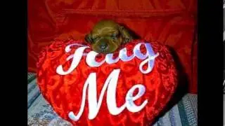 happy hug day profile pics