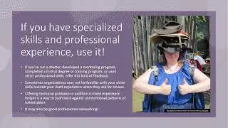 Providing Document and Program Review and Feedback