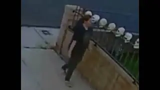 Skull on Fence Turns to Face Camera