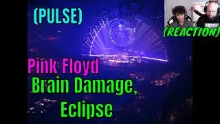 Pink Floyd  - Brain Damage, Eclipse (PULSE) Reaction