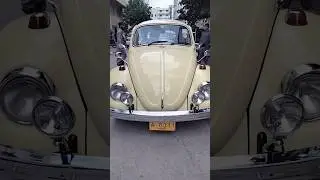 Volkswagen Beetle Restored #carmaintenance #detailing #cartutorial #cartutorial  #volkswagenbeetle