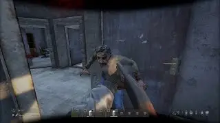 Is There a Better Gun Than The BK 133? (DayZ, Chernarus, No Mods)