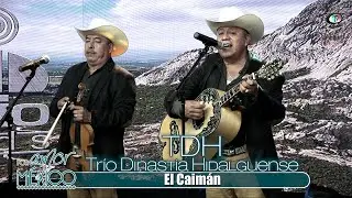Trío Dinastía Hidalguense - El Caimán (Video Oficial)