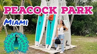 PEACOCK PARK - FORT LAUDERDALE