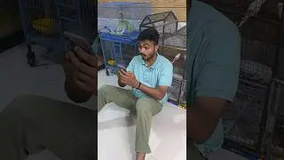 Tarantula 🕷 aa gayi | Creepy pets #shorts #Tarantula #spider
