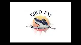 Barriers to Bird Conservation: The Value-Action Gap | Bird FM Radio