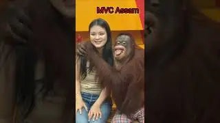 Smart monkey with cute girl #smart #original#monkey #cute