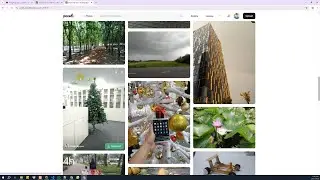 Free Copyright-Free Image & Video Library | How to Use Pexels in 2025