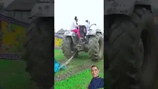 Dress vs Machine!