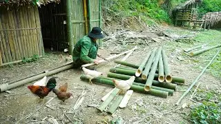 Farm Improvement Journey Combined with Forest Foraging and Traditional Fishing Activities