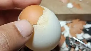 Raw Egg Peeling & Name Writing | Fun & Satisfying