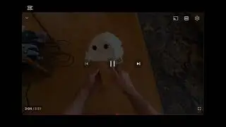 Making Ice Cream Reversed 