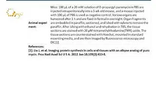 GC30010_O-Propargyl-Puromycin_1416561-90-4
