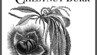 Opening a Chestnut Burr by Edward P. ROE read by LikeManyWaters Part 1/2 | Full Audio Book