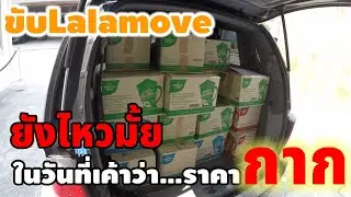 ลองขับลาล่ามูฟในวันที่เค้าว่าราคาไม่ดี#lalamove#bolt#grab#indriver#maxim#tada