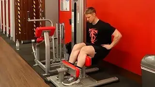 Machine Sissy Squat