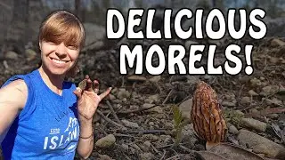 This is a Must Eat MOREL Dish!