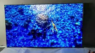 LG OLED55G46LS 55