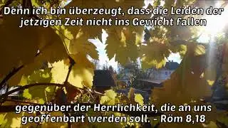 Totschlagargument: 