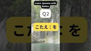Learn Japanese  with Bokko 日本語クイズ1       #shorts #japanese #日本語